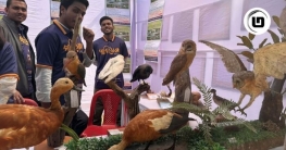 রাজশাহী বিশ্ববিদ্যালয়ে চলছে পাখি মেলা